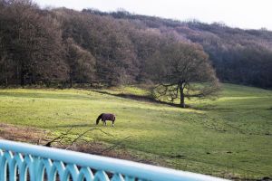 apperly bridge 20 sm.jpg